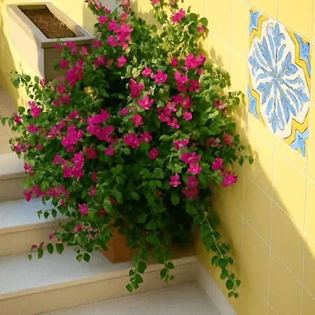 Torre Indipendente Con Terrazza 木屋 *